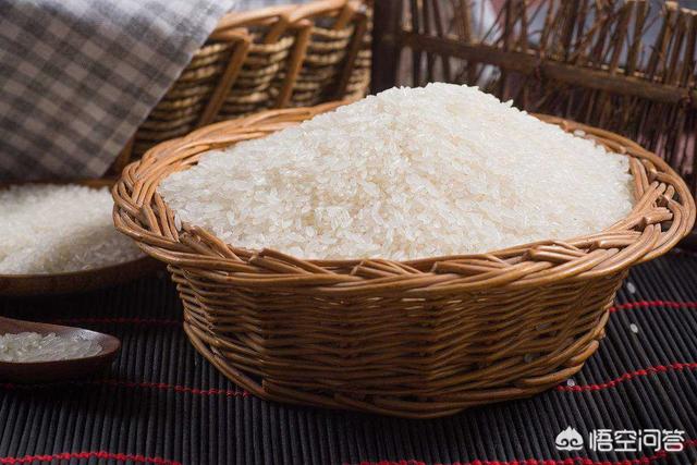 为什么大米中会出现米虫，为什么大米放久了，里面会生虫蛋怎么办