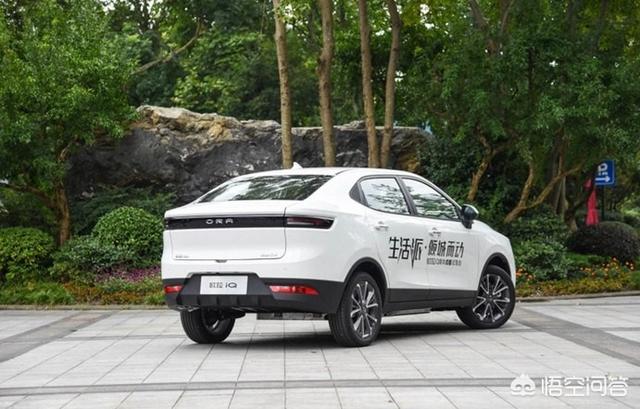 欧拉新能源车，听说长城欧拉帮助中国进入了平台化电动车时代是吗？