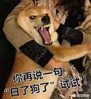 三个月的比熊好养吗?:比熊犬3个月大，放在笼子里经常叫怎么办？