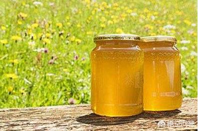 椴树蜜多少钱一斤，正宗土蜂蜜68元一斤贵吗
