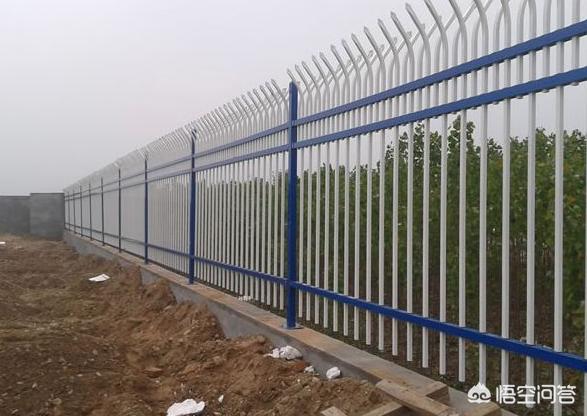 怎么做院子围墙又便宜又好看？插图58