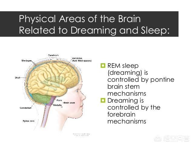 一睡觉全是梦怎么办,为何睡觉的时候，大脑会做些乱七八糟的梦？