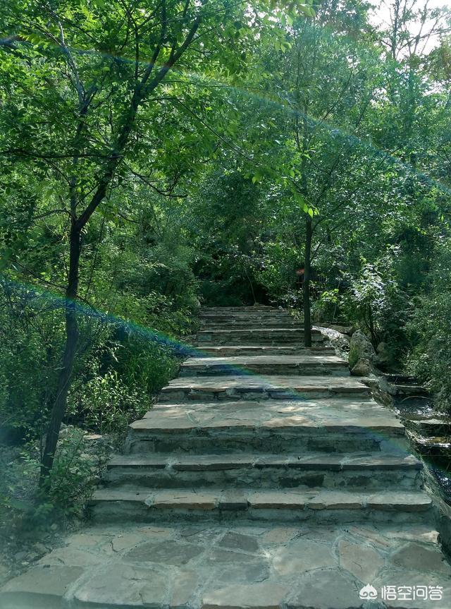 头条问答 - 2019年太原圪僚沟景区好玩吗?(3个回答)