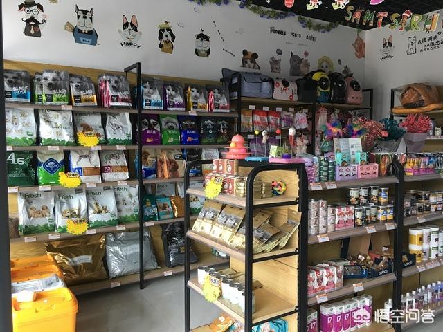 宠物美容院设备:开宠物美容店需要什么设备？