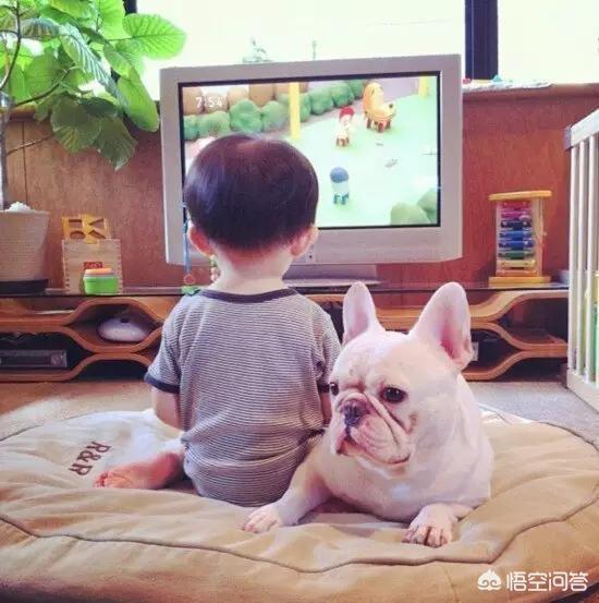 小孩 狗:孩子和狗狗相处需要注意什么？