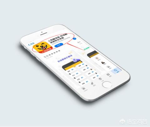 狗狗首页:狗狗身上有多少种寄生虫？
