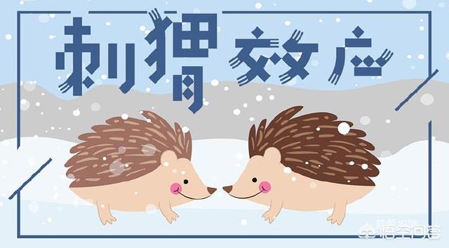 刺猬效应:为什么跟男朋友在一起很累，跟普通异性朋友在一起反而轻松？