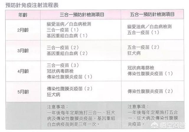 怎么给猫咪打针视频:幼猫感冒打什么针管用，幼猫感冒需要打针吗？