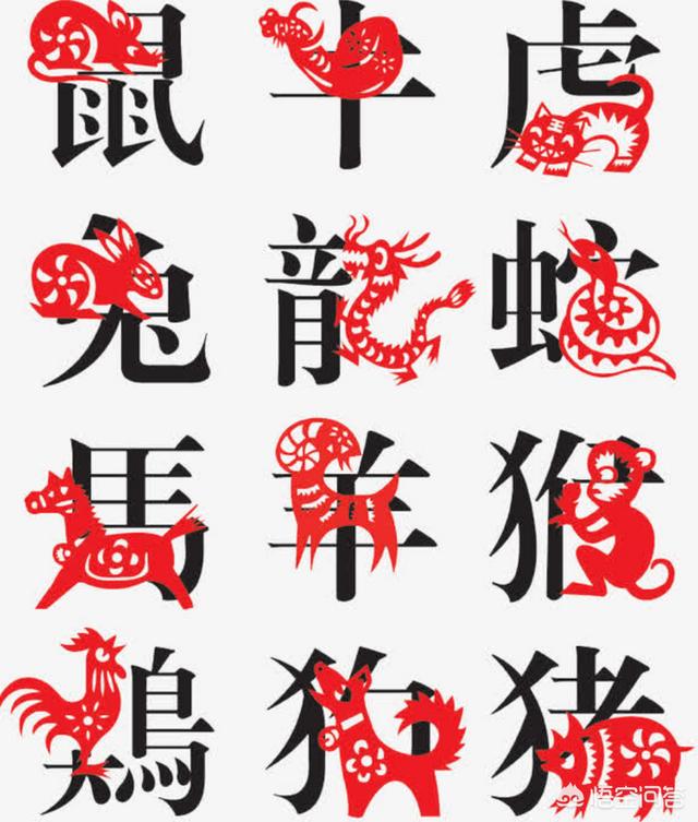 鼠牛虎兔龙蛇,马羊猴鸡狗猪；是属相是生肖,为何这样排序？