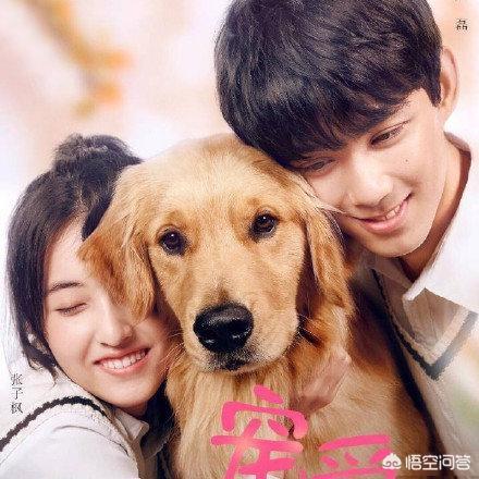 吴磊张子枫:如何评价“吴磊张子枫劈叉抱”？