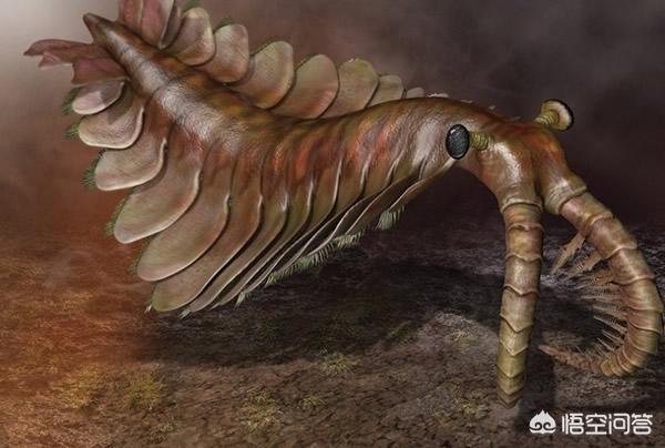 石炭纪为什么会出现巨型蜻蜓和巨型蜈蚣,那时的昆虫体型为什么都很大?