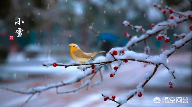 农村俗语"小雪不见雪,大雪满天飞",你怎么理解?