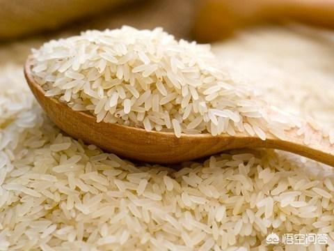发黄的大米还能吃么？:为什么吃黄米饭会死人 第1张