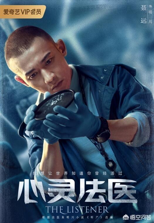 心灵法医评价:如何评价由聂远、宋轶主演的悬疑推理剧《心灵法医》？