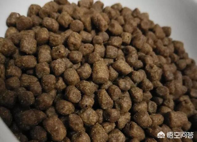 玛氏宠物食品的研发:哪些食物，可以帮助狗狗美毛？