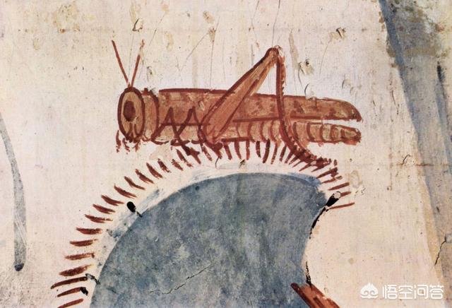西班牙灵蚀，古代有很多蝗灾，为什么现在很少有了