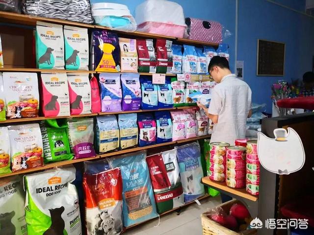 宠物美容价格表:开个宠物美容店大概多少钱？