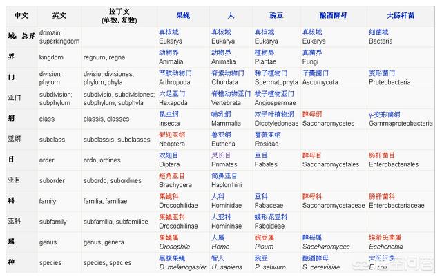 水獭是不是猫科动物:为什么老虎不是虎科动物而是猫科动物？