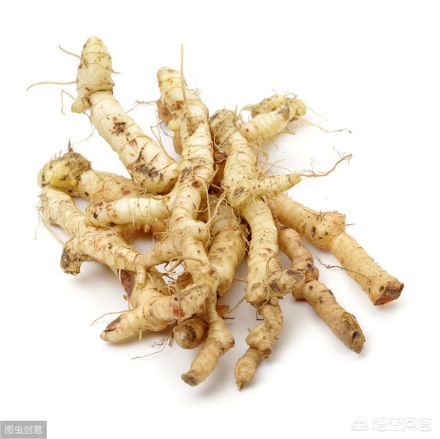 黄精市场需求巨大,人工种植8元一斤,亩产4000斤,为啥农户不敢种？