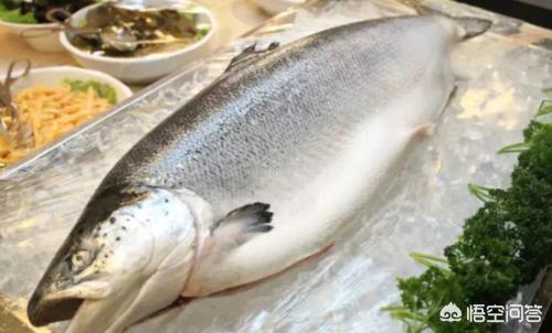 中国有什么好吃的海鱼，常见可食用的深海鱼都有哪些？