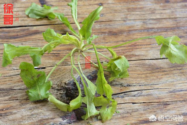 哪种野菜的营养价值高？能做成什么菜？