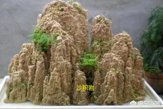 上水石盆景(上水石盆景图片)