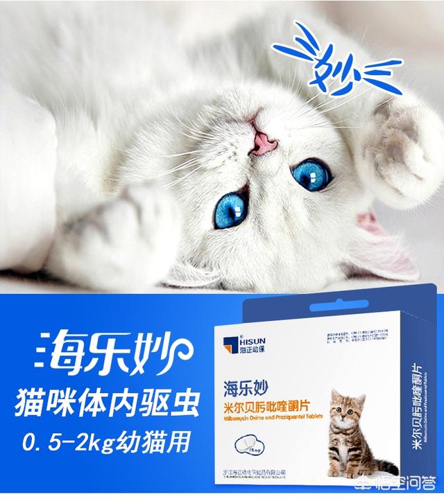 猫吃拜耳驱虫药洗澡:想养流浪猫咪，给它洗澡要注意什么？ ？