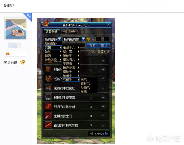 DNF玩家在百科词典发现弓箭手装备,装备呈现一堆代码,难道弓箭手职业快出来了吗？