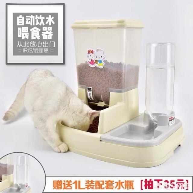 汪哇哇宠物碗:怎么给狗狗挤肛门腺？多久挤一次？