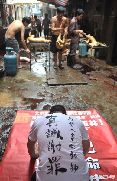 爱狗网论坛爱狗:爱狗人士真的有爱心吗？你怎么看？