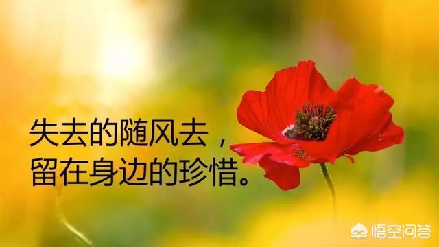 走心的<a href=https://maguai.com/list/256-0-0.html target=_blank class=infotextkey>朋友圈</a>:有哪些最走心的说说心情<a href=https://maguai.com/list/46-0-0.html target=_blank class=infotextkey>语录</a>分享？(适合自己的心情<a href=https://maguai.com/list/46-0-0.html target=_blank class=infotextkey>语录</a>)