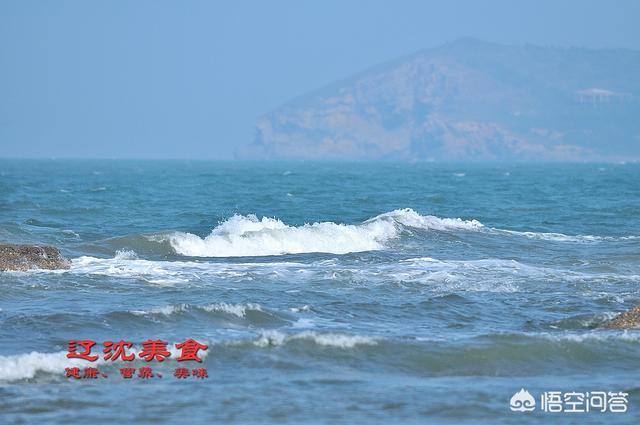 北方人退休了想找个南方城市养老,你认为哪个城市最适合,为什么？