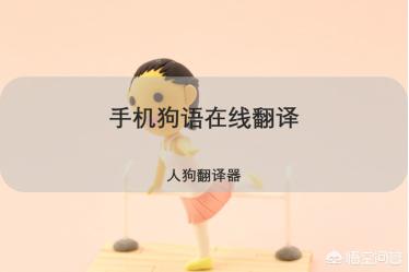 狗语言翻译机吧:有人知道狗狗的翻译器怎么用吗？ 动物语言翻译机
