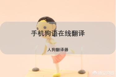 狗语翻译器效果如何:有人知道狗狗的翻译器怎么用吗？