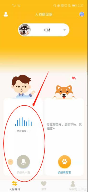 狗语言翻译机吧:有人知道狗狗的翻译器怎么用吗？ 动物语言翻译机
