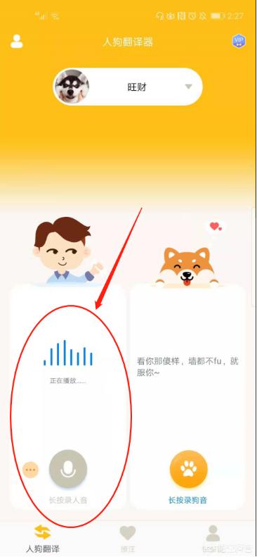 狗语翻译器效果如何:有人知道狗狗的翻译器怎么用吗？