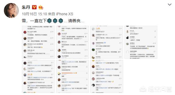 朱丹恋情:如何看待朱丹，热依扎，沈梦辰等明星纷纷发表“雪花论”
