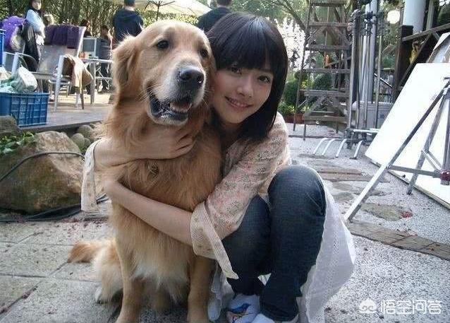 女人爱狗狗群视频:女人给狗狗喂饭的视频 为什么大部分女生都爱养公狗？