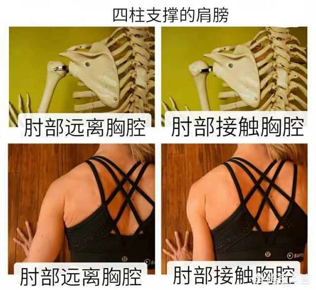 四柱哪一柱力量最大,瑜伽四柱支撑该如何发力？