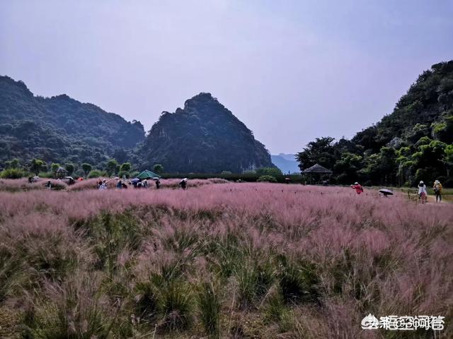 11月份适合去哪里旅游;11月12月适合去哪旅游