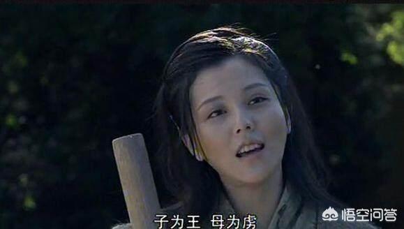 吕一个人资料:吕雉到底是一个怎样的人？