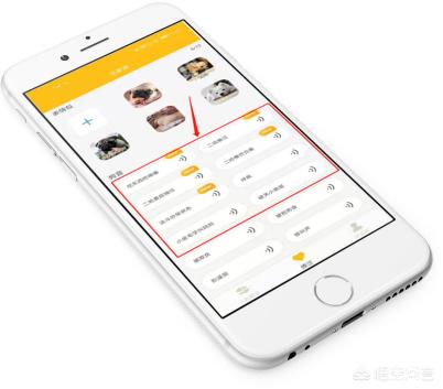 狗语翻译器效果如何:有没有什么软件可以翻译狗声？