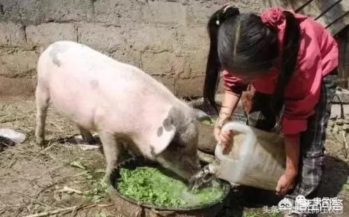 小茹和黄狗驴交小说:农业的土地性质有哪几类？