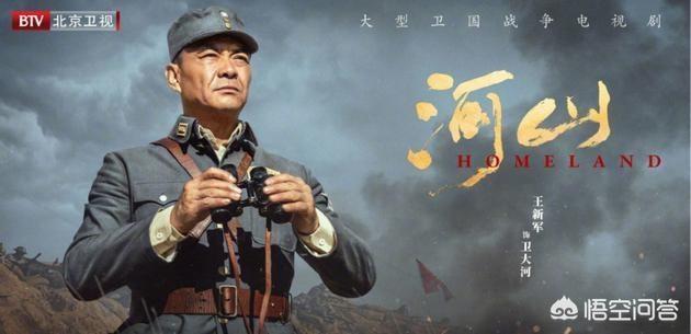 王新军电视剧:神剧专业户王新军自导自演的电视剧《河山》，你认为怎么样