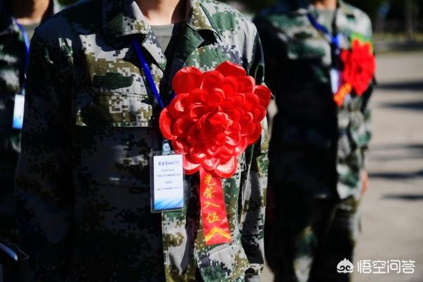 搜救犬服役几年:部队服役第八年该不该退伍？ 搜救犬感动落泪总结