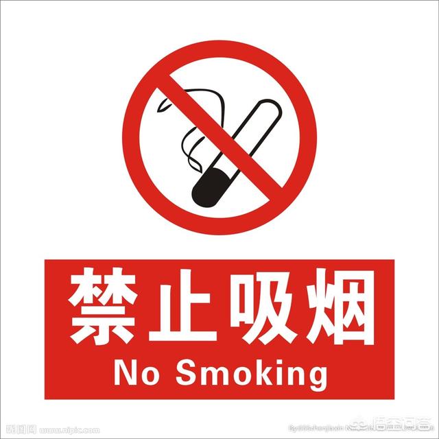 风来客牛肉味营养骨:原汁牛肉汤怎么做才会更好吃？