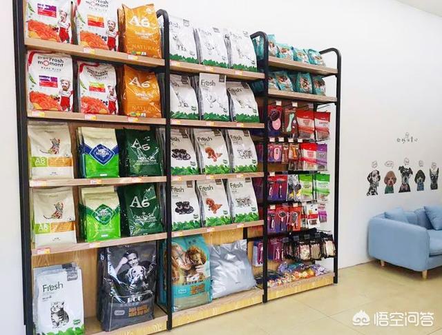 拍多格宠物店加盟:长治开宠物店需要多少资金？ 多格屋宠物店