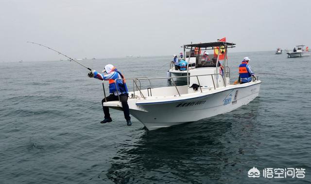 海钓活饵可以用泥鳅:海钓鲈鱼泥鳅好还是沙蚕好？
