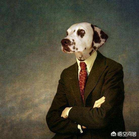 不会真有人当舔狗吧:为什么一些男生会愿意做“舔狗”？
