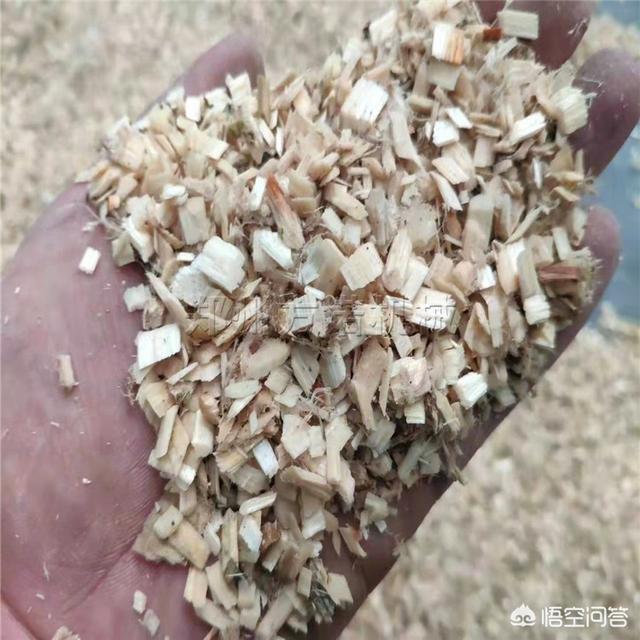 造纸用木粉生产设备,树枝木屑机用途特点有哪些？